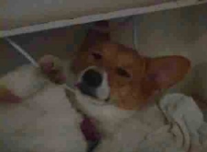 1380944226-1338543029