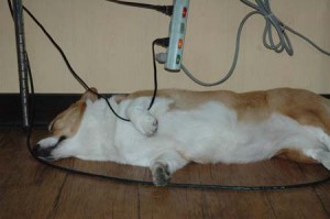 1380944226-3908264729