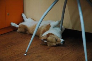 1380944227-3982991894