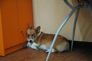 1380944227-4103578999