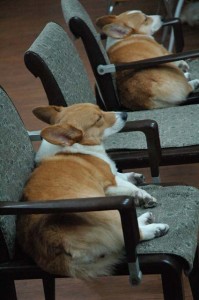 1380944228-1329486173