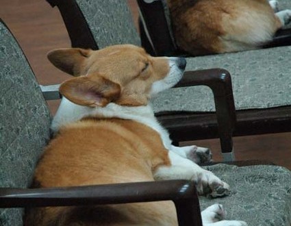 1380944228-1329486173