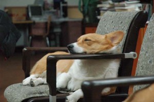 1380944228-1385374077