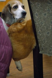 1380944229-402907548