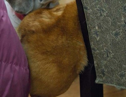 1380944229-402907548