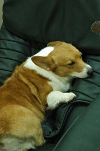 1380944230-2587860802