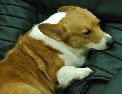 1380944230-2587860802