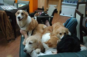 1380944231-277000327