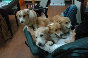 1380944231-3160264419