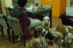 1380944233-2251648431