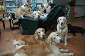 1380944233-923730023