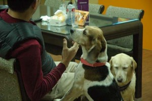 1380944234-3440741248