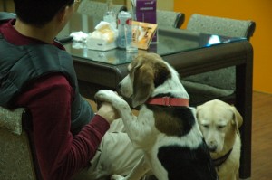 1380944234-422415046