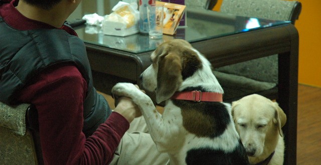 1380944234-422415046