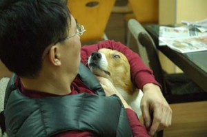 1380944235-2487957531