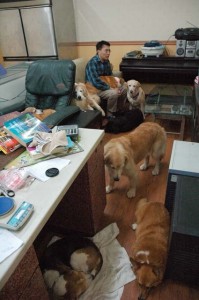 1380944236-3480776662