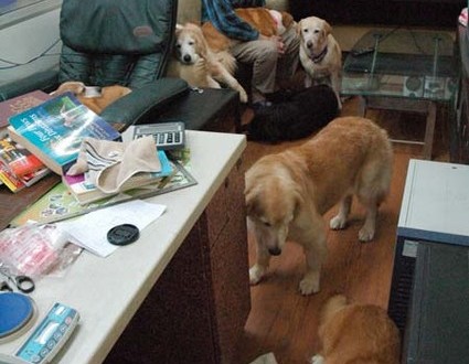 1380944236-3480776662