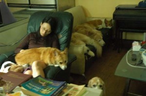 1380944236-4236189838