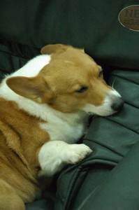 1380944237-2344275976