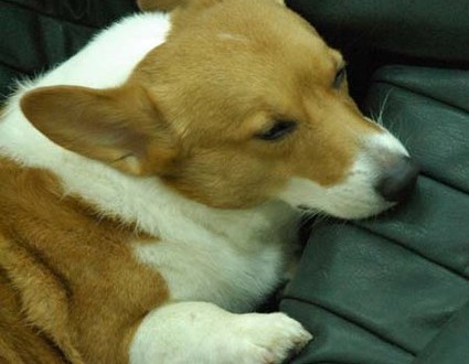 1380944237-2344275976