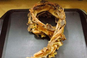 1380944244-1252880018