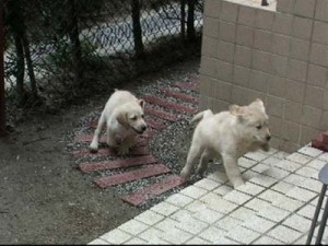 1380944245-3927756170