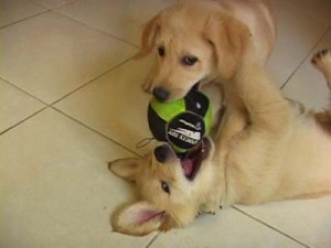 1380944245-712034194