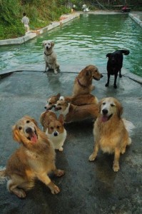 1380944246-103813445