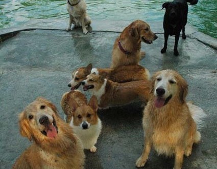 1380944246-103813445