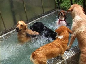 1380944246-1660782103