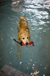 1380944247-3882164075