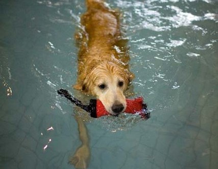 1380944247-3882164075