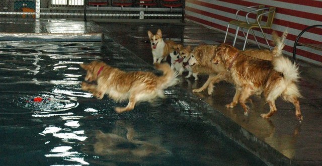 1380944248-319995022