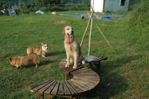 1380944249-711932351