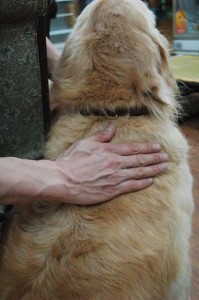 1380944251-3295014955