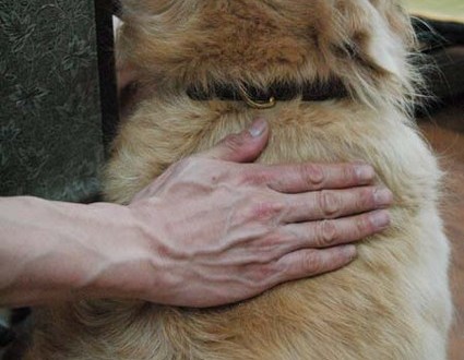 1380944251-3295014955