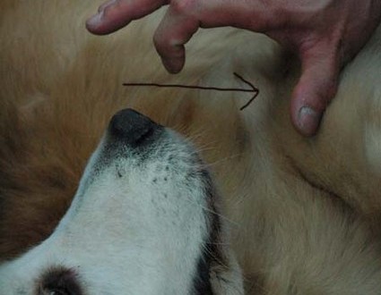 1380944252-1174360161