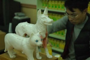 1380944252-1501907547