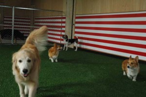 1380944253-3295740455