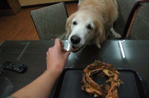 1380944255-1020885383