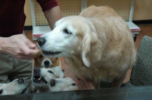 1380944255-900576788