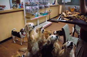 1380944256-1587179191