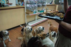 1380944256-2496743156