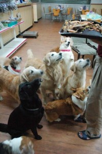 1380944257-491025792