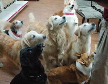 1380944257-491025792