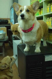 1380944258-1644460169