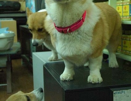 1380944258-1644460169