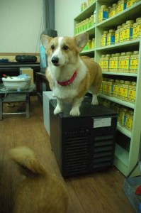 1380944258-2279767980