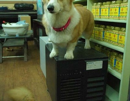 1380944258-2279767980