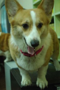 1380944259-1308261841